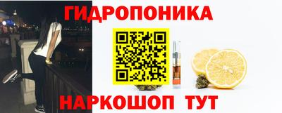 эйфоретик Лесосибирск