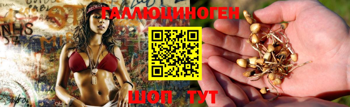 Галлюциногенные грибы GOLDEN TEACHER Камень-на-Оби