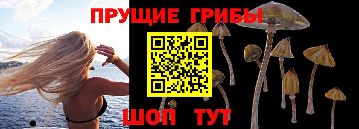 Псилоцибиновые грибы мицелий  Вход с VPN  Камень-на-Оби 